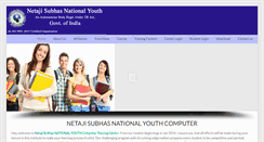 Desktop Screenshot of nsny.org